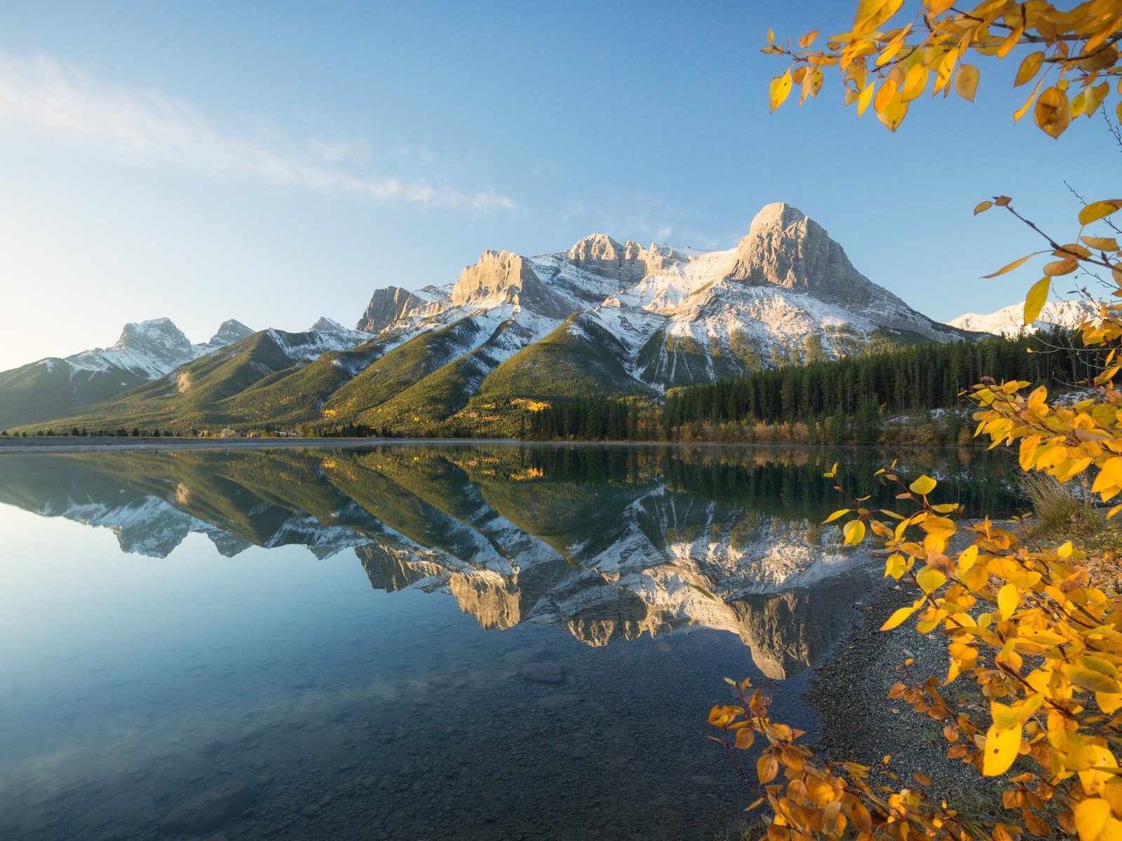 Alberta Rural Renewal Stream Most Hired Jobs and Companies Eligible to Sponsor