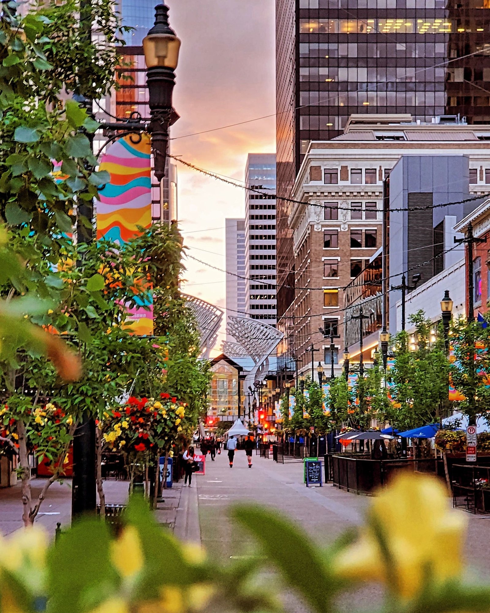 These Companies Can Sponsor Your PR - Alberta Rural Renewal Stream Jobs