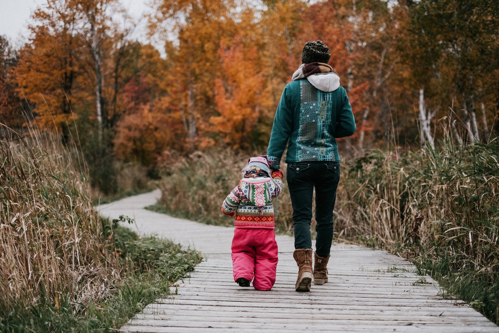 RCIP North Bay New Designated Companies and Jobs as of October 2025